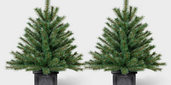 Unlit Potted Christmas Tree Review